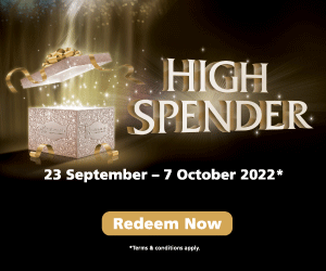 ALM1153_HIGH-SPENDER-SHOP-2022-CAMPAIGN_DM-MEDIA_WEBSITE-300-x-250(O)